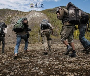 비영리단체
