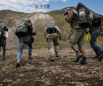 비영리단체