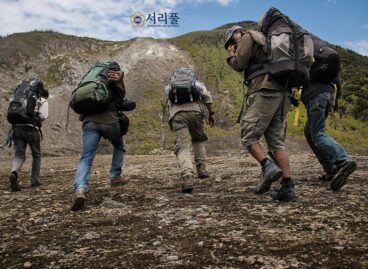 비영리단체