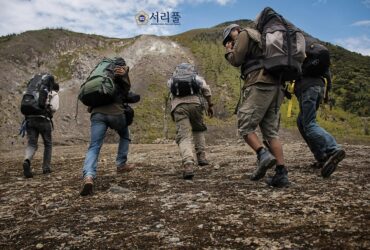비영리단체