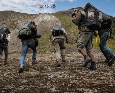 비영리단체