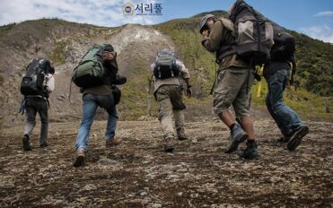 비영리단체